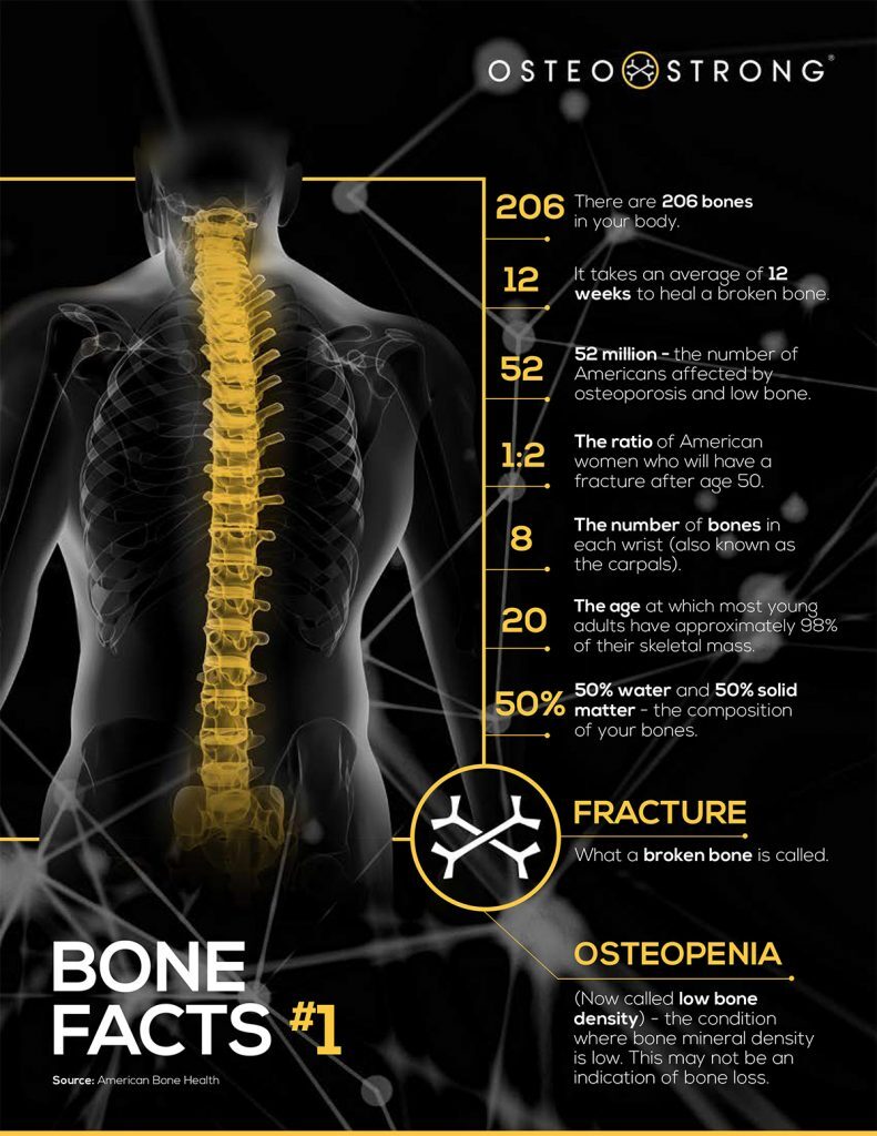Bone Facts #1